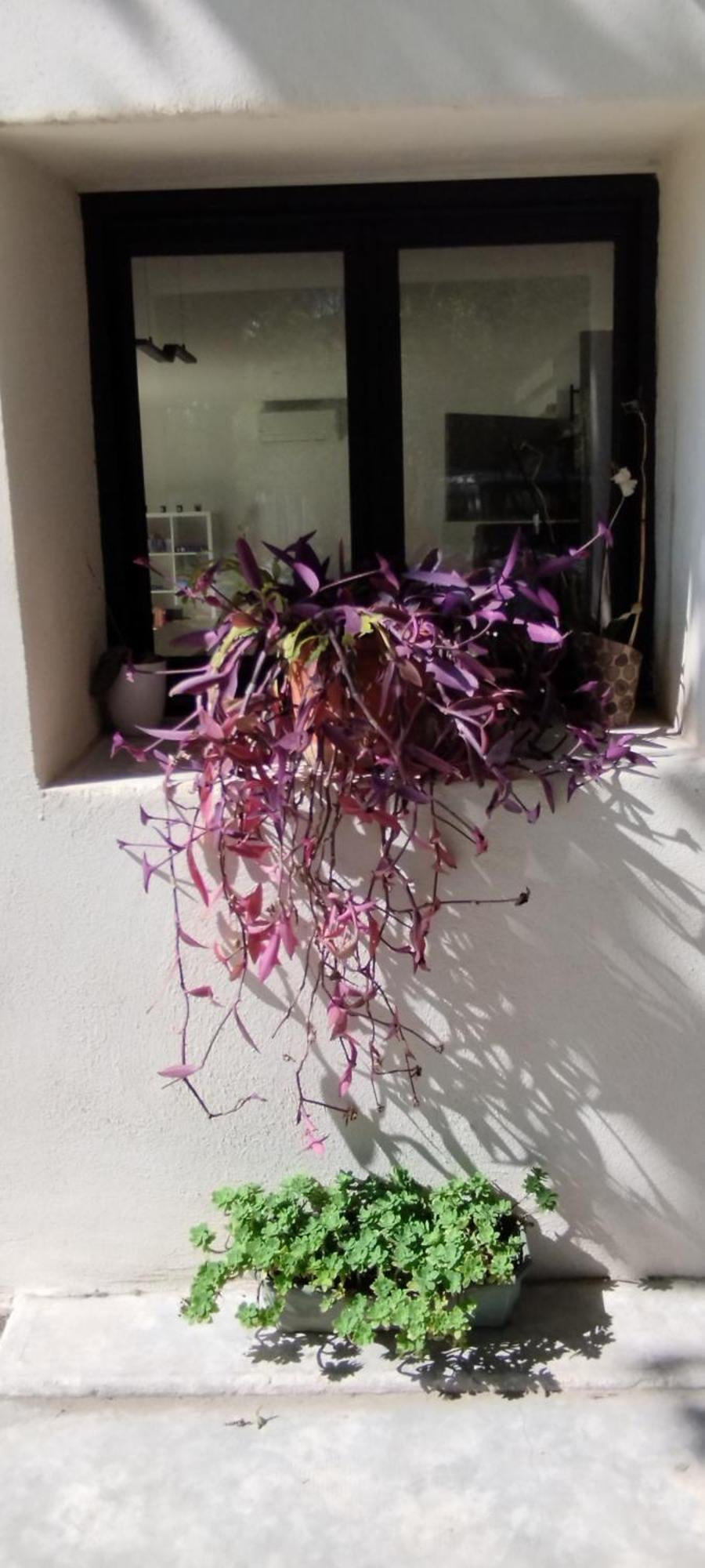 Mas En Provence Villa Le Thor Buitenkant foto